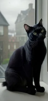 Sleek black cat sitting by a window with a serene urban backdrop.