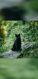Black cat on a log in a lush green forest setting.