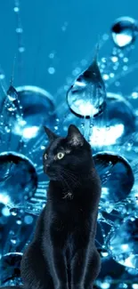 Black cat sits elegantly on luminous blue droplets, crafting a serene mobile wallpaper.