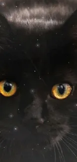 Black cat with yellow eyes on a dark background, creating a mysterious look.