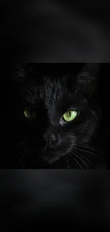 Dark and elegant black cat with glowing green eyes.