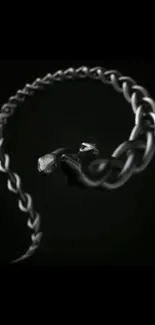 Black elegant chain with spiral design on a dark background.