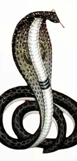 Intricate black cobra design on a mobile wallpaper background.