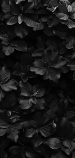 Black floral wallpaper with elegant design.