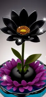 Black glossy flower with purple petals and a teal vase on a dark background.