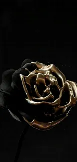 Black rose with gold accents on a dark background.