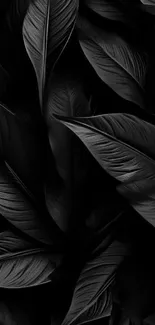 Elegant black leaves with detailed pattern design for mobile wallpaper.