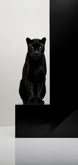 Black panther against a minimalistic black and white backdrop.