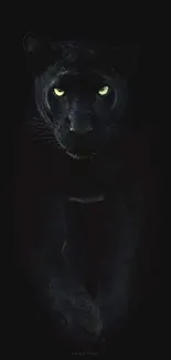 Dark black panther with glowing eyes against a black background.