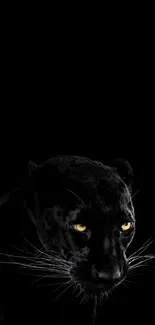 Black panther with piercing yellow eyes on a dark background.