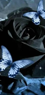 Black rose with blue butterflies on a dark background wallpaper.