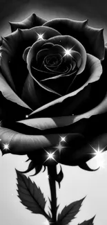 Elegant black rose artwork with intricate details on a mobile wallpaper.