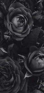 Elegant black roses mobile wallpaper for a sophisticated touch.