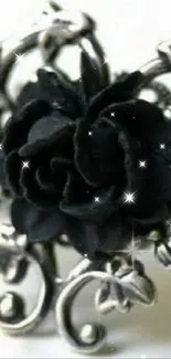 Elegant black rose with sparkling details on a decorative background.