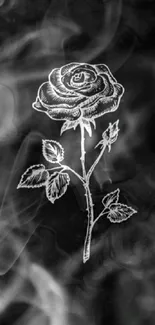 Elegant white rose sketch on a black background wallpaper