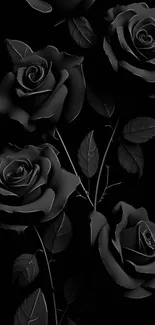 Elegant black roses on a dark background.