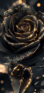 Black rose with gold shimmer on a mobile wallpaper.