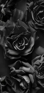 Elegant black rose wallpaper with dark petals.