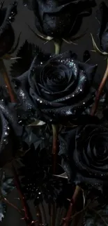 Black roses with dewdrops in elegant arrangement.