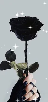 Stylish black rose held by hand against gray background.