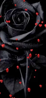 Elegant black rose wallpaper with water droplets.