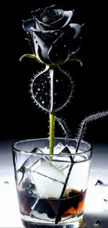 Elegant black rose with droplets in a glass.