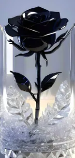 Black rose in clear glass contrasts elegantly.