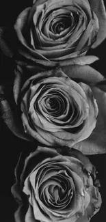 Grayscale image of elegant black roses in artistic style.