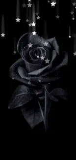 Elegant black rose wallpaper with dark background.