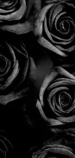 Elegant black rose wallpaper with floral design.