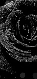 Elegant black rose with water droplets wallpaper.