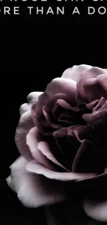 Elegant dark-themed black rose wallpaper for mobile phone.