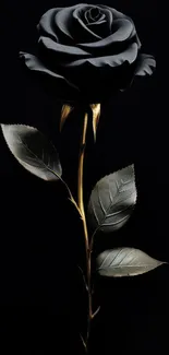 Elegant black rose with golden stem on dark background.