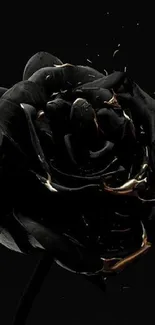 Black rose with gold accents on a dark background.