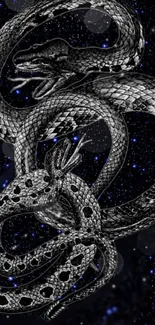 Stylish black snake on a starry background.