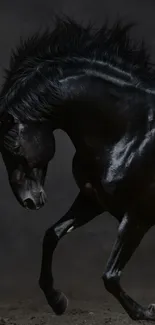 Elegant black stallion in motion on a dark background.