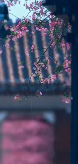 Pink blossoms with rain on a traditional roof backdrop.