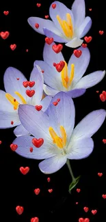 Purple flowers and red hearts on black background.