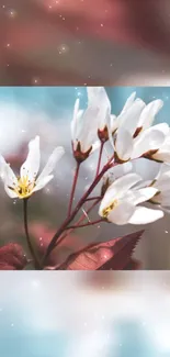 White blossoms on a dreamy light blue background.