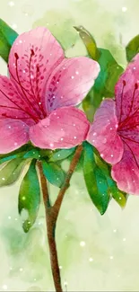 Watercolor painting of pink blossoms with green leaves on a pastel background.