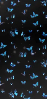 Blue butterflies on a black background mobile wallpaper.