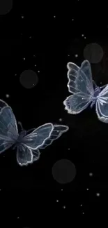 Two elegant blue butterflies on a dark background.