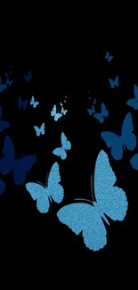 Blue butterflies on a black background, creating a serene and elegant mobile wallpaper.