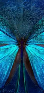 Elegant blue butterfly with intricate design on a mobile wallpaper.