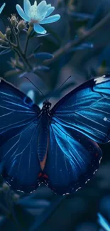 Blue butterfly resting on flowers in a serene setting.