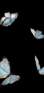 Elegant blue butterflies on black background, ideal for mobile wallpaper.