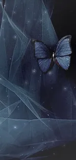 Elegant blue butterfly on a dark textured background.