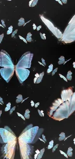 Elegant blue butterflies on black background.