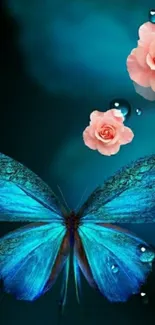 Blue butterfly with pink roses wallpaper for mobile phones.