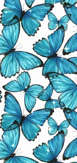 Blue butterflies on a white background wallpaper for mobile.